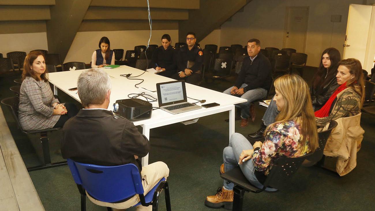 web reunion cecoed deparmental salud