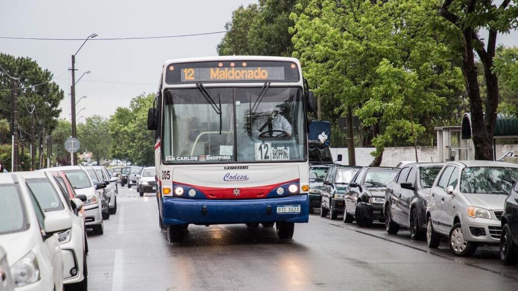 web omnibus transporte boleto estudiantil recorrido lineas (15)