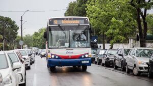 web omnibus transporte boleto estudiantil recorrido lineas (15)