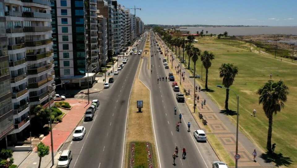 800X453-montevideo-medium-size