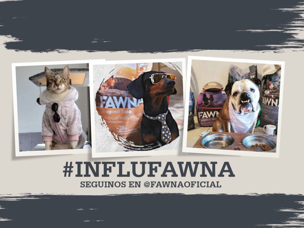 Influfawna