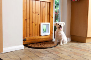 Sure-Petcare_SureFlap_Microchip_Pet_Door_300dpi