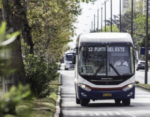 omnibus codesa bus transporte