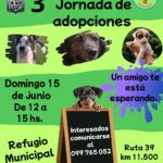 IDM invita a la tercera jornada de adopciones en el Refugio Departamental