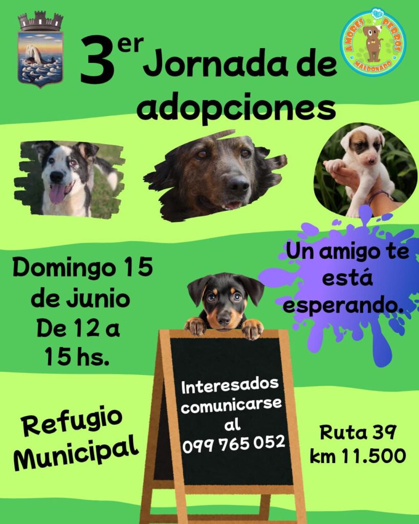 ec5c293b-889b-4481-9795-928371a2a09d