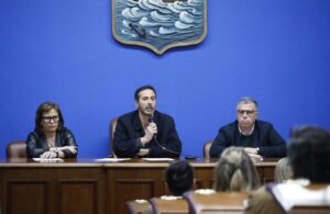 web fondo incentivo editorial maldonado escribe (5)