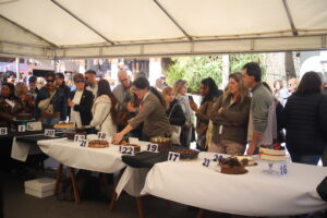 IMG_9790_0