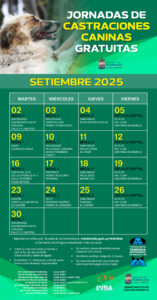 castraciones Setiembre 2025_0
