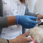 Oficina móvil de la Corte Electoral atenderá en Gregorio Aznárez