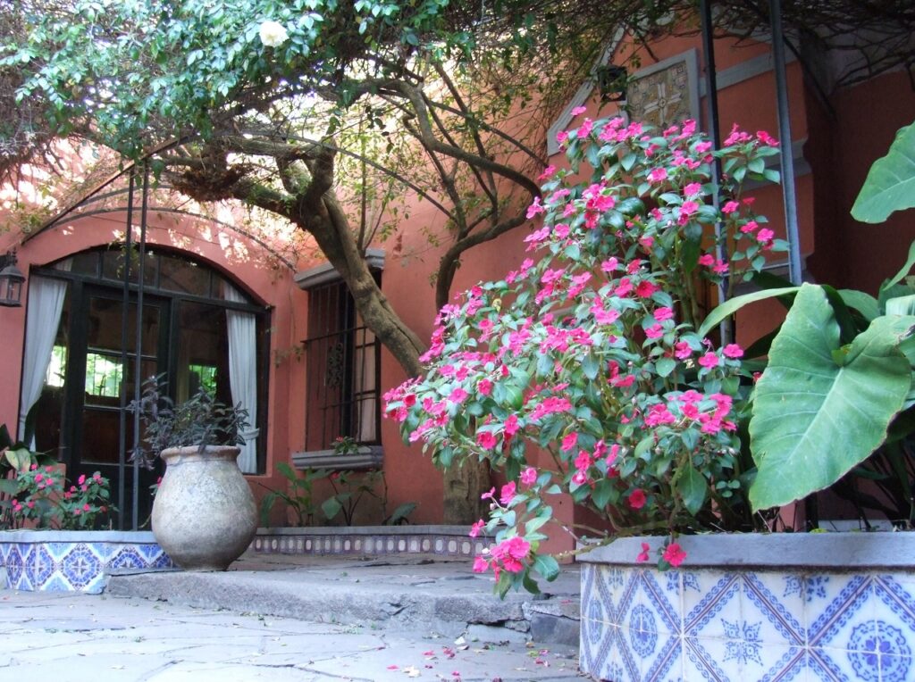 web museo Mazzoni