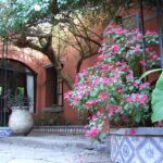 Dos presentaciones literarias tendrán lugar en el Museo Regional Francisco Mazzoni