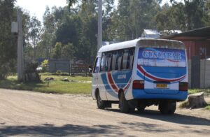 web bus capuera