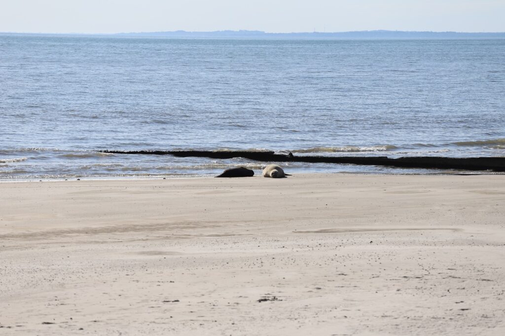 IMG-20251103-WA0005_0