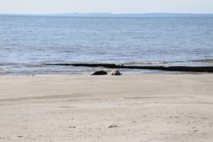 IMG-20251103-WA0005_0