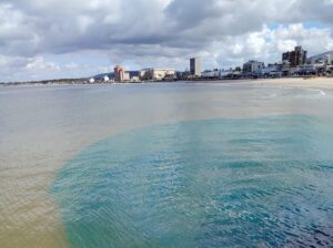 WhatsApp Image 2025-11-24 at 13.00.40_0