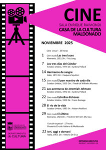 flyer CINE NOVIEMBRE
