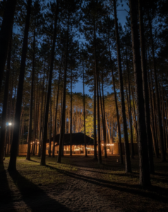 Soto Bosque, el nuevo refugio en el bosque de La Barra (2)