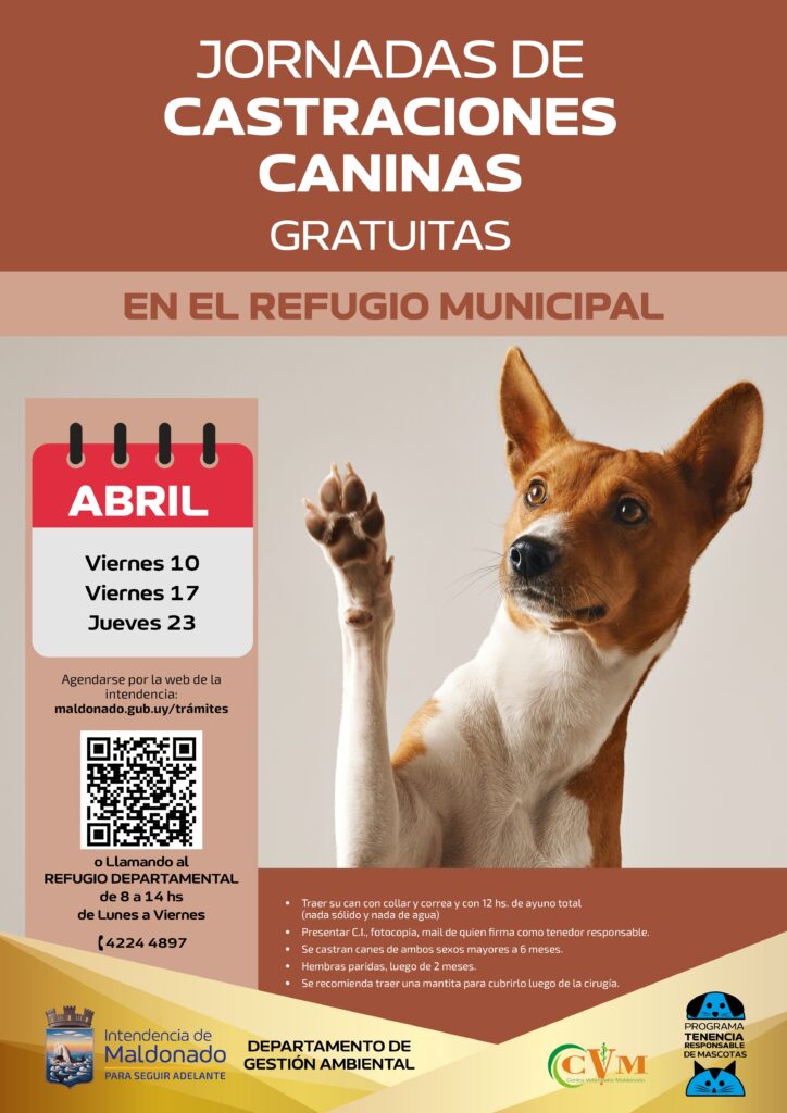 castraciones 2026 abril4_0