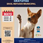 Bienestar animal: este viernes 15 de mayo habrá guardia de castraciones caninas