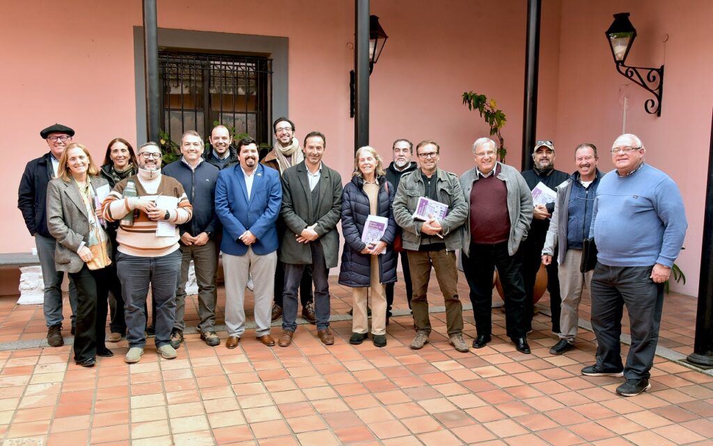 patrimonio comision (1)