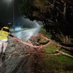Ciclón extratropical dejó árboles caídos, sobre casas y automóviles, columnas de luz derribadas, clientes sin luz y evacuados