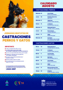 Castraciones Agosto_perros y gatos