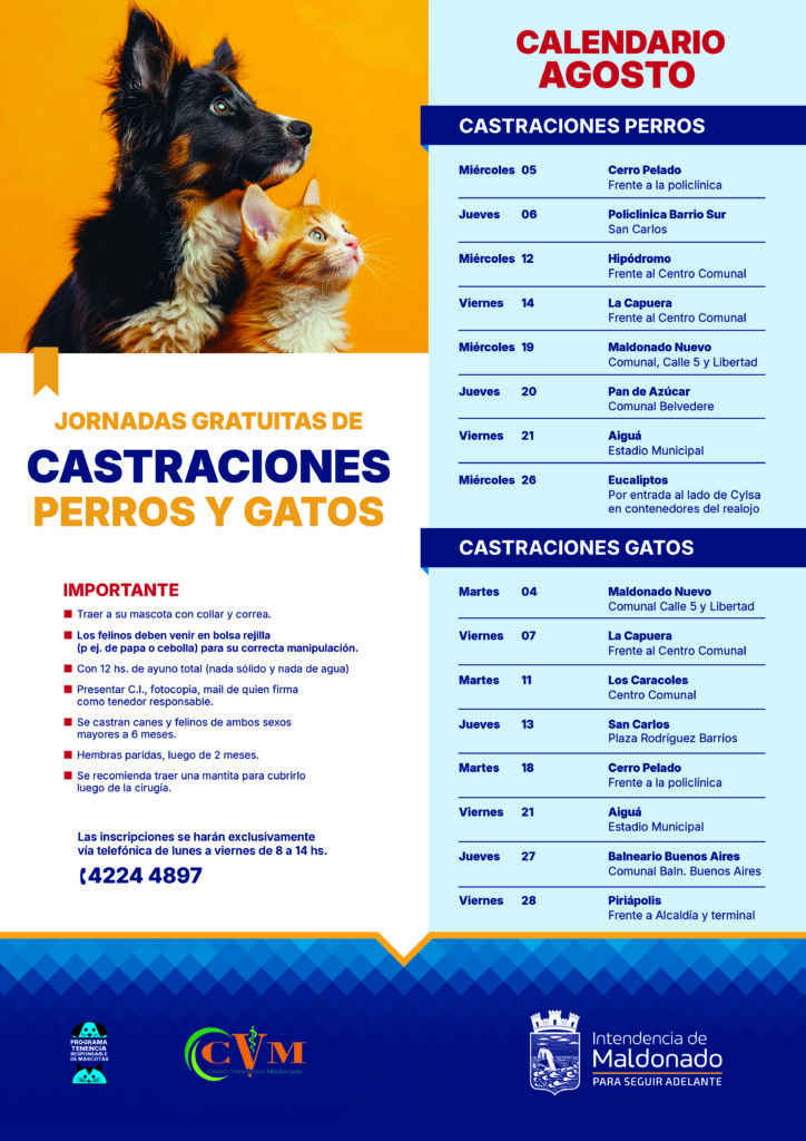 Castraciones Agosto_perros y gatos